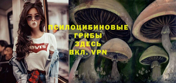 мяу мяу мука Алексеевка