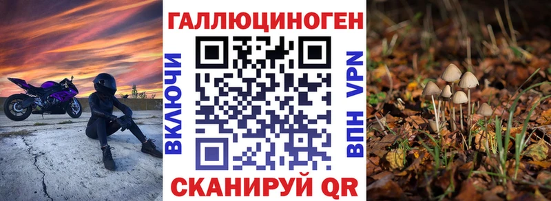 Псилоцибиновые грибы Psilocybine cubensis  наркошоп  Новочеркасск 