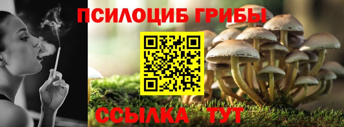Псилоцибиновые грибы ЛСД Новочеркасск