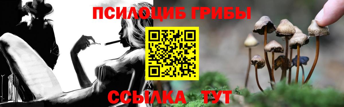 Галлюциногенные грибы GOLDEN TEACHER  Вход с VPN  Новочеркасск 