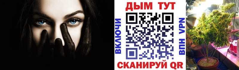 MEGA сайт  Новочеркасск  МАРИХУАНА SATIVA & INDICA 